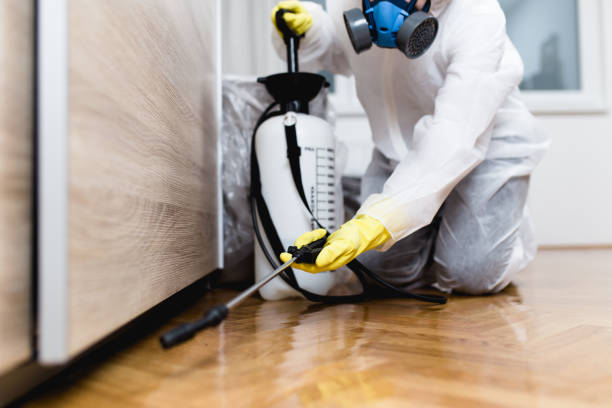 Best Insect Control  in Springfield, IL