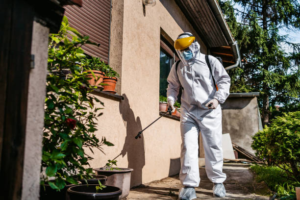 Best Local Pest Control Services  in Springfield, IL