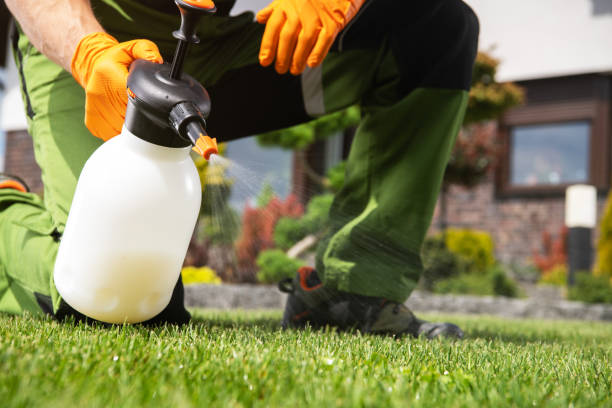 Best Pest Control for Homes  in Springfield, IL