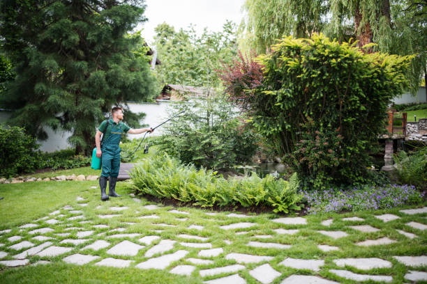 Best Pest Inspection Near Me  in Springfield, IL