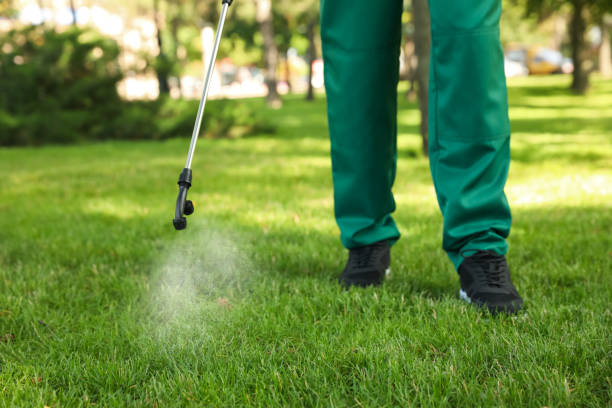 Flea Control Services in Springfield, IL