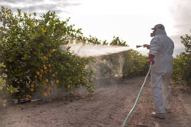 Best Commercial Pest Control Services  in Springfield, IL
