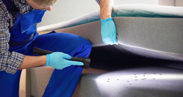 Best Mosquito Control Services  in Springfield, IL