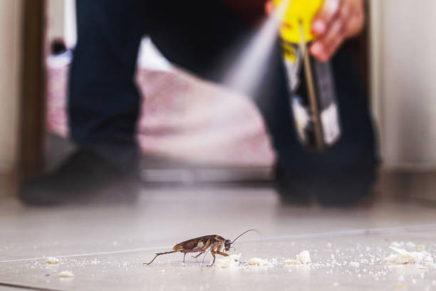 Professional Pest Control in Springfield, IL