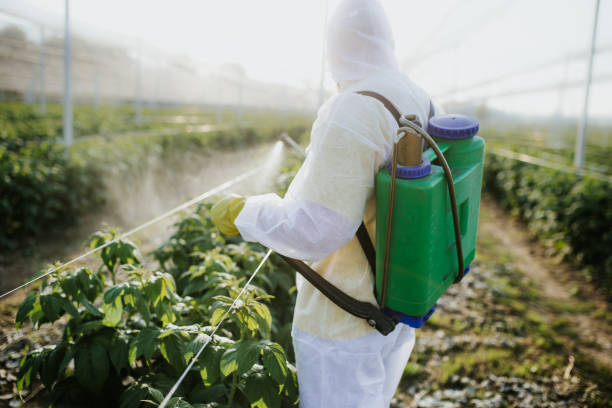 Best Exterminator Services  in Springfield, IL